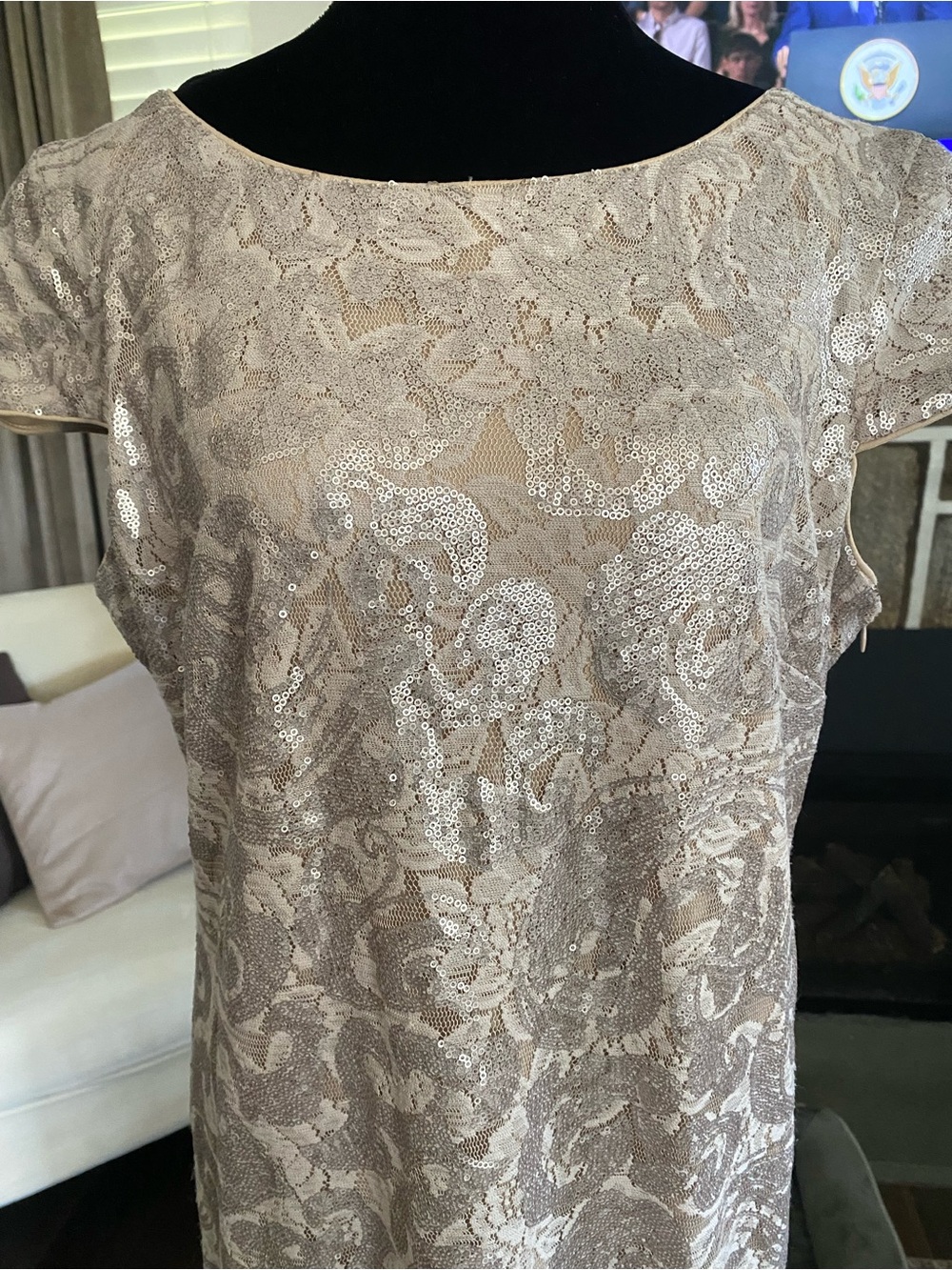 Calvin Klein Embroidered Sequin Lace gown. Altered size 16 - fits like 14